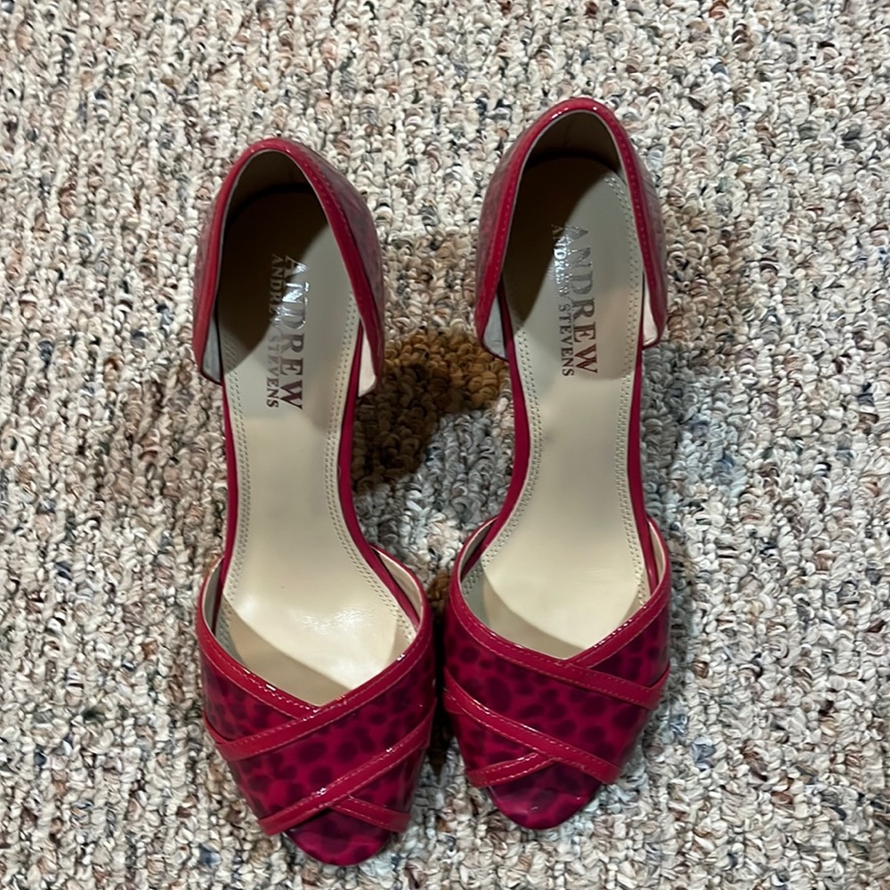 Andrew Steven’s Size 8 Heels
